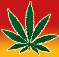 green leaf of marijuana on a red-yellow background