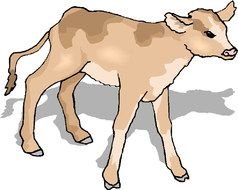 drawing of a brown cow on a white background