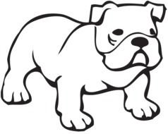 drawing of a cure bulldog