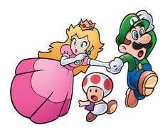 Mario Hero Saves the Princess
