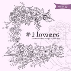Flowers N473