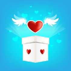 Beautiful heart on the wings of love with box N2