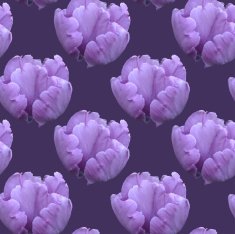 Vector seamless pattern with tulips N6