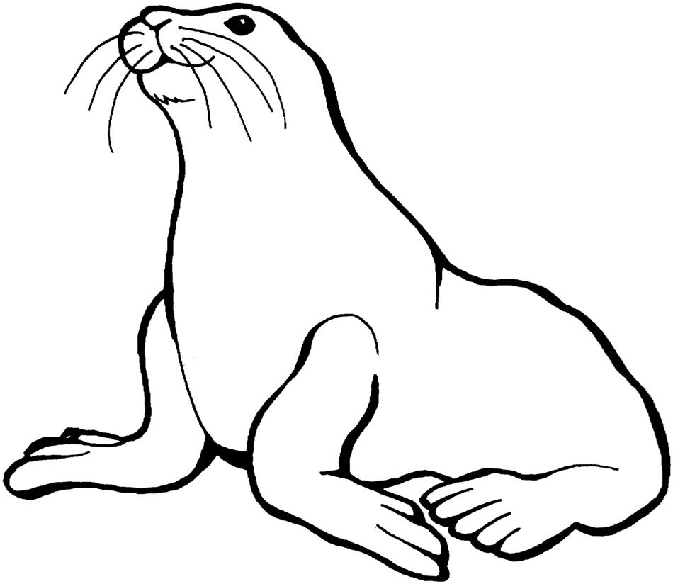 graphic image of a sea animal for clipart