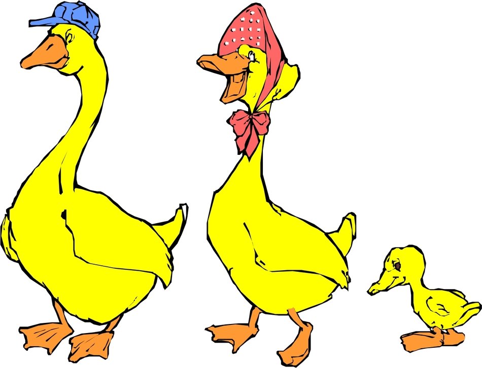 Drawing of Duck family free image download