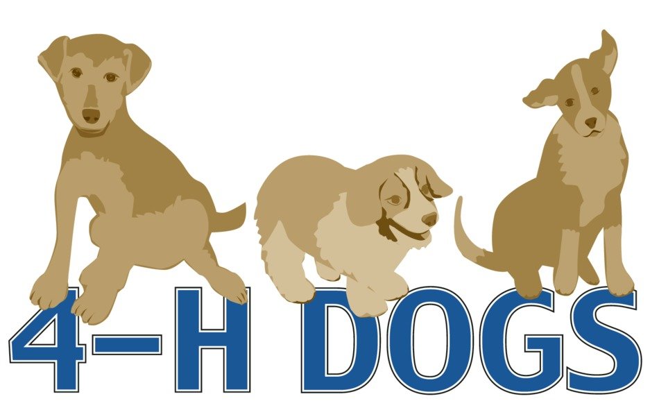 drawing dogs on the inscription