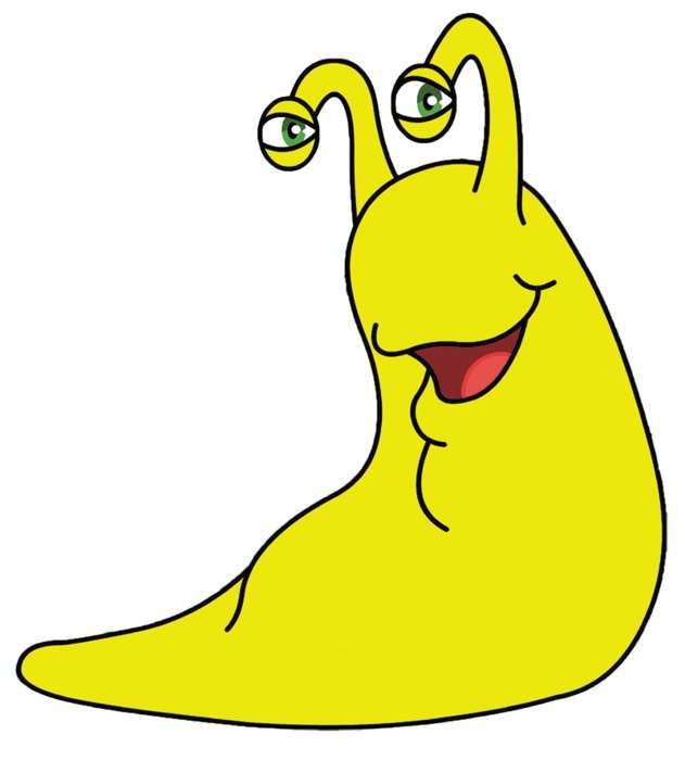 banana slug as a picture for clipart