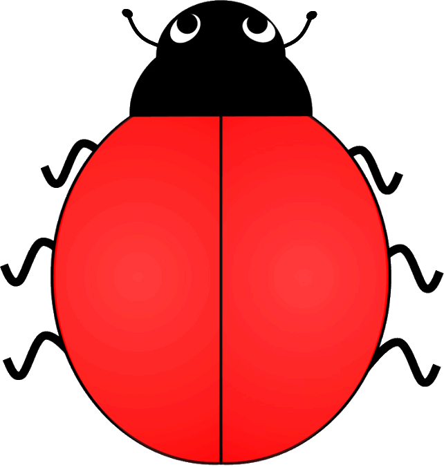 Ladybug Without Spots Free Free Image Download