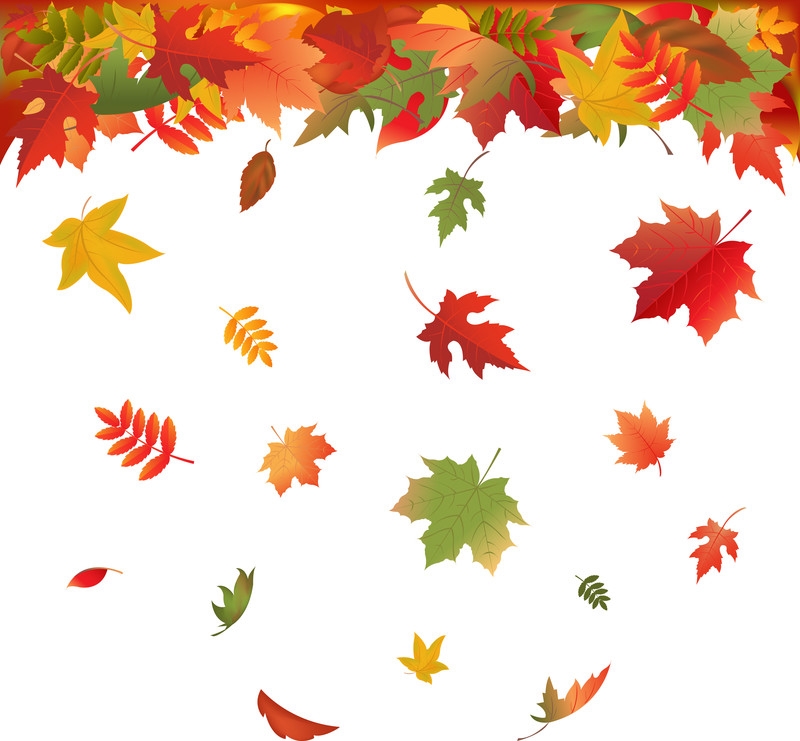 Clipart of the autumnal leaves free image download