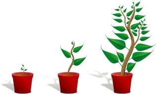 Clipart of Plant Growing