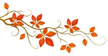 Beautiful fall leaves clipart