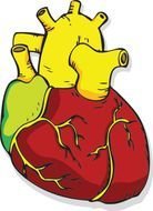 Related Pictures Cuisine Vector Of A Hungry Boy With Tray