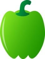 drawing of green pepper on a white background