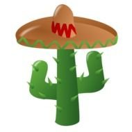 mexican hat on cactus