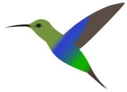 Cute Hummingbird drawing
