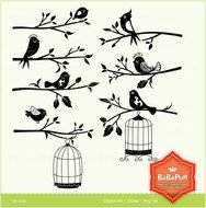 Cute Birds Pink Blue Purple Green Tweet Downlo