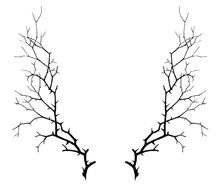 drawn two branches in the shape of deer horns