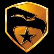Image Gi Joe Falcon Logojpg Wiki Joepedia