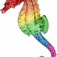 About Our Company & People Blog With A Variety Of News Forum For