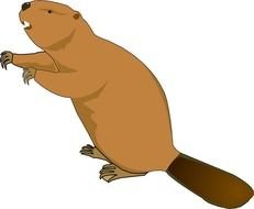Free Beaver