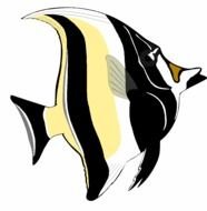 colorful grouper as picture for clipart