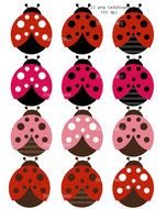 Pink Lady Bug set drawing