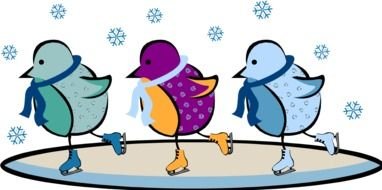 ice skating birds