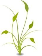 Floral Decoration drawing