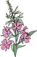 Healthy flower drawing