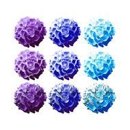 Clipart Hydrangea Flower Blossoms