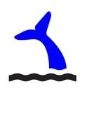 Tail drawing
