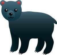 Cute Black Bear drawing