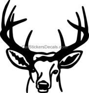 Buck Sticker 82 Deer Hunting Stickers Car Decals