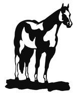 pinto horse, black and white drawing