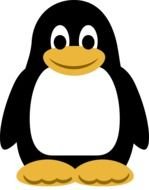 drawn cartoon penguin on a white background