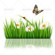 Graphicriver Nature Background With Green Grass And Flowers 5338005