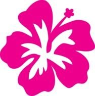 clipart of the pink hawaii plumeria flower