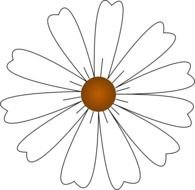 drawing daisies with white petals