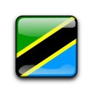 icon with Tanzania flag