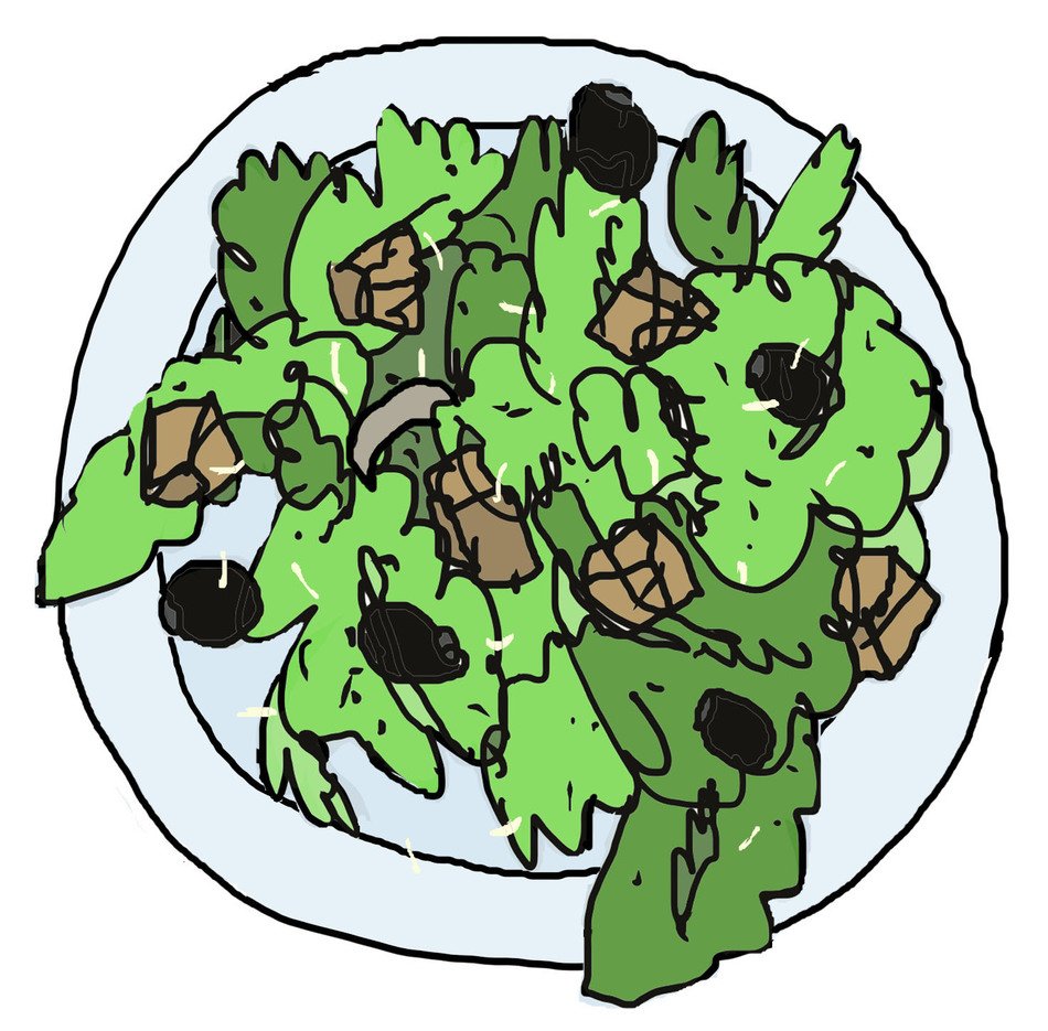 drawing of the salad