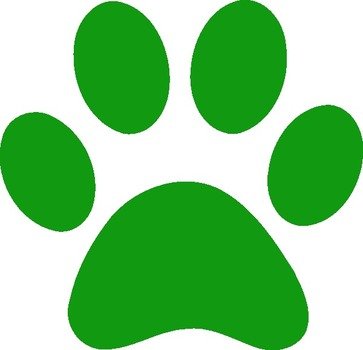Paw Green drawing