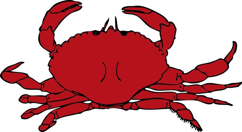 picture of the red crab