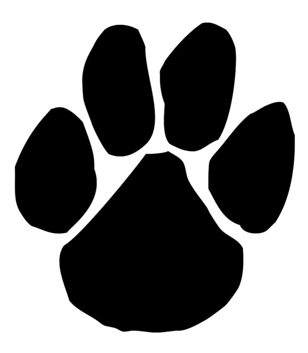 Panther Paws drawing
