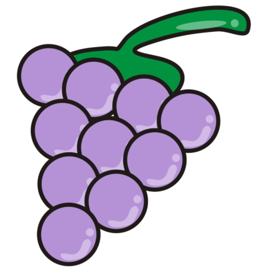Purple Grapes Grape
