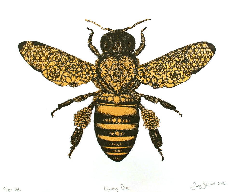 drawing of a honey bee