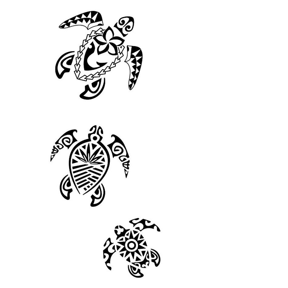 black and white turtles on a white background