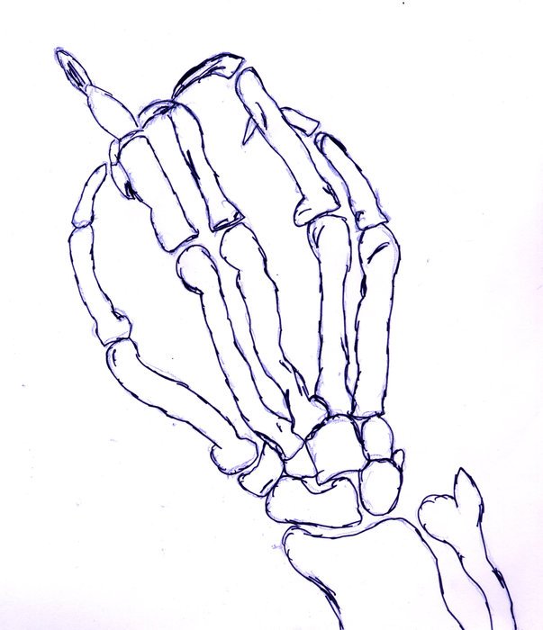 blue skeleton sketch