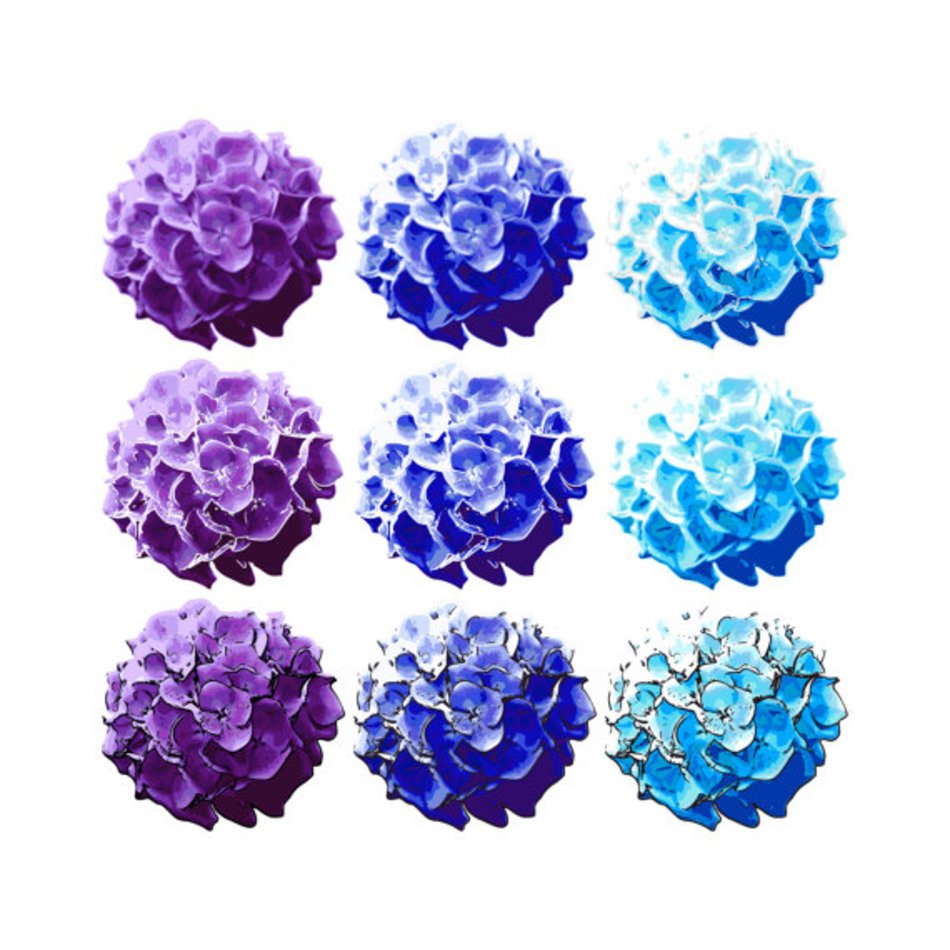 Clipart Hydrangea Flower Blossoms