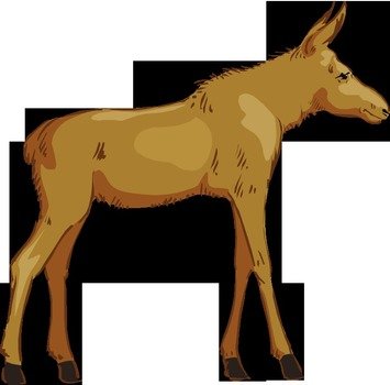 Moose N10