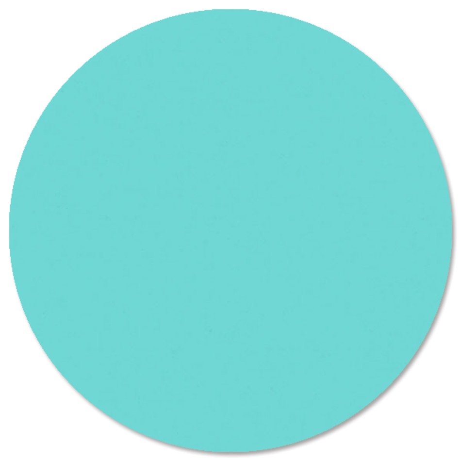 Circle Foil Personalized Plate Menu Or Program Foryourpartycom